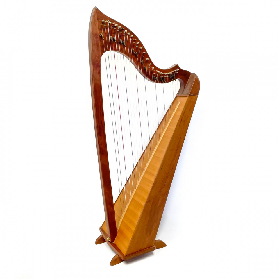 27 string store harp