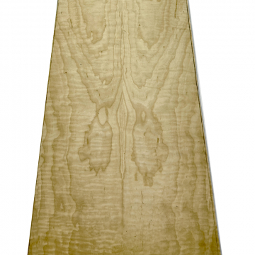 Jolie - Curly Maple Soundboard