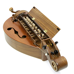 Affordable Folk Instruments and DIY Kits